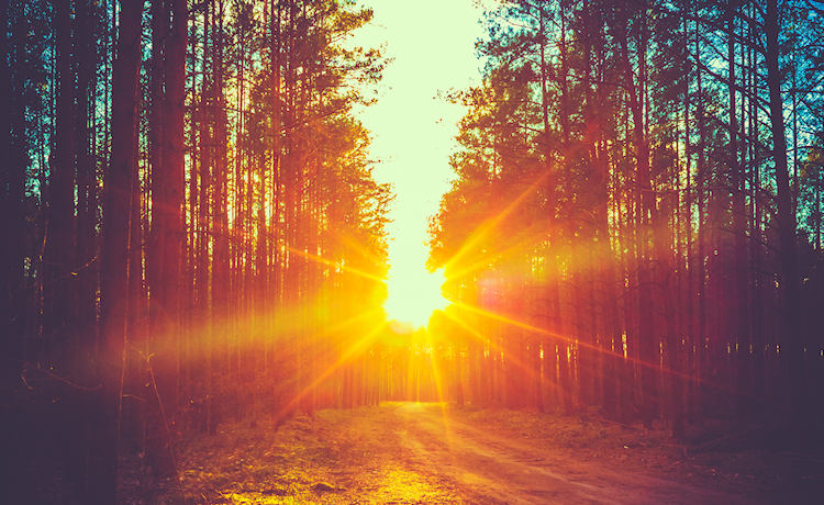 afbeelding zonneschijn